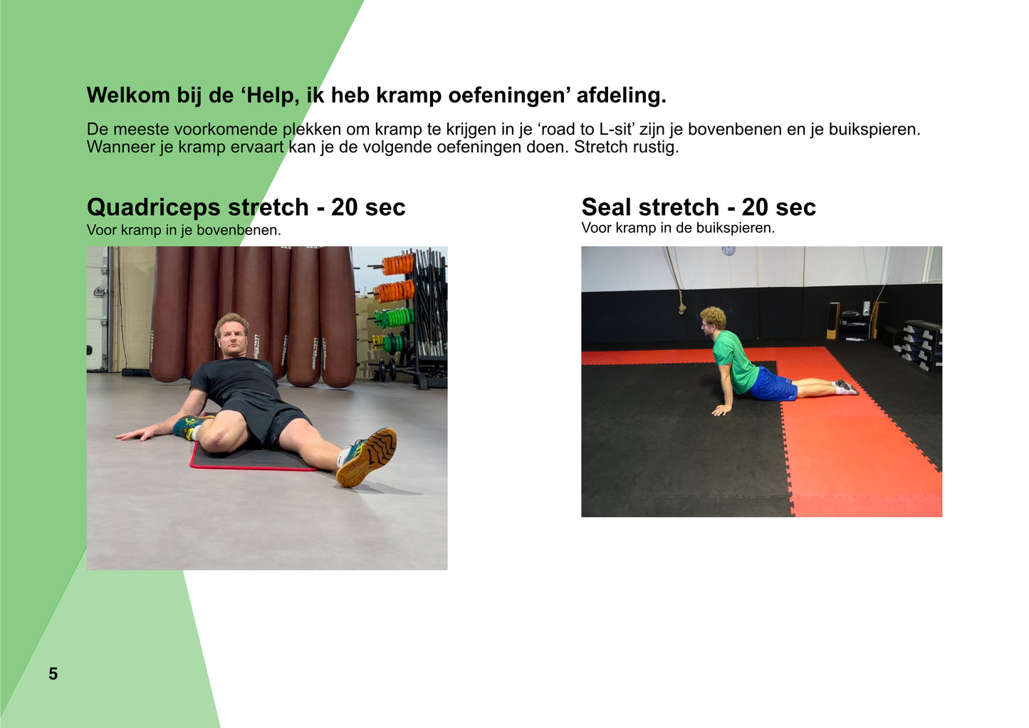 Road to L-sit - NL version - E-book - Digital download